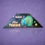 Mini Peacock
