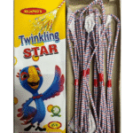 4" Twinkling Star